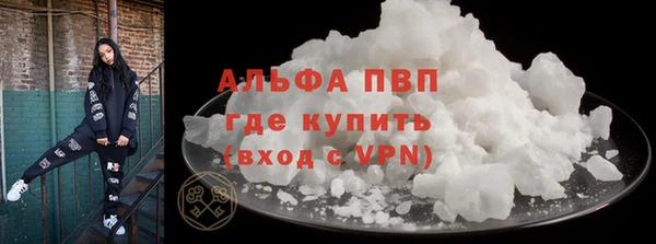 гашик Сосновка