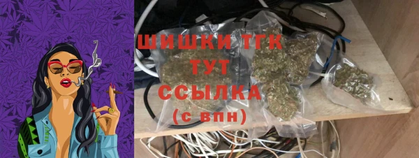хмурый Надым