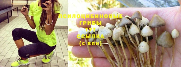 Альфа ПВП Навашино