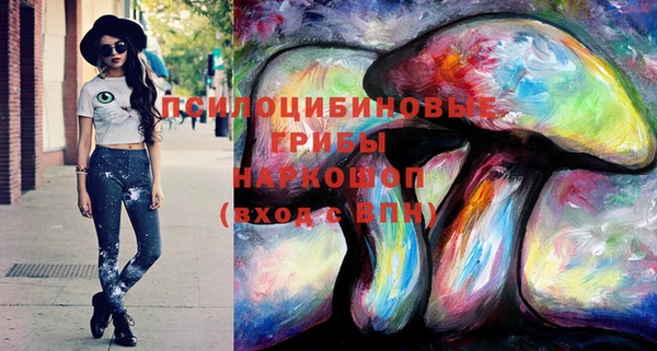 мдпв Сосновый Бор