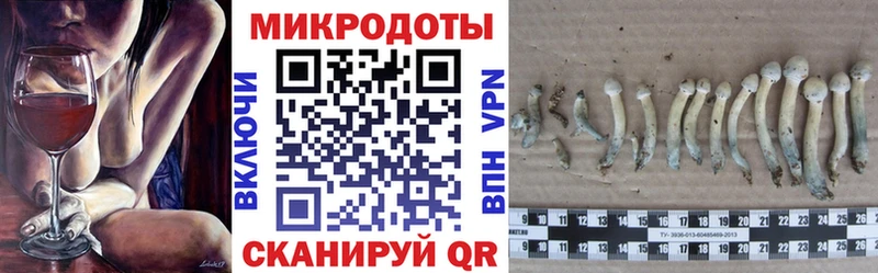 Псилоцибиновые грибы ЛСД  Тихорецк 