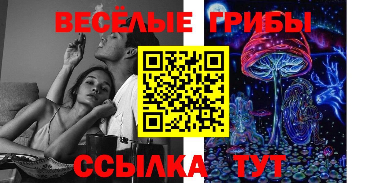 Галлюциногенные грибы Magic Shrooms  Вход с VPN  Галлюциногенные грибы Psilocybine cubensis  Тихорецк 